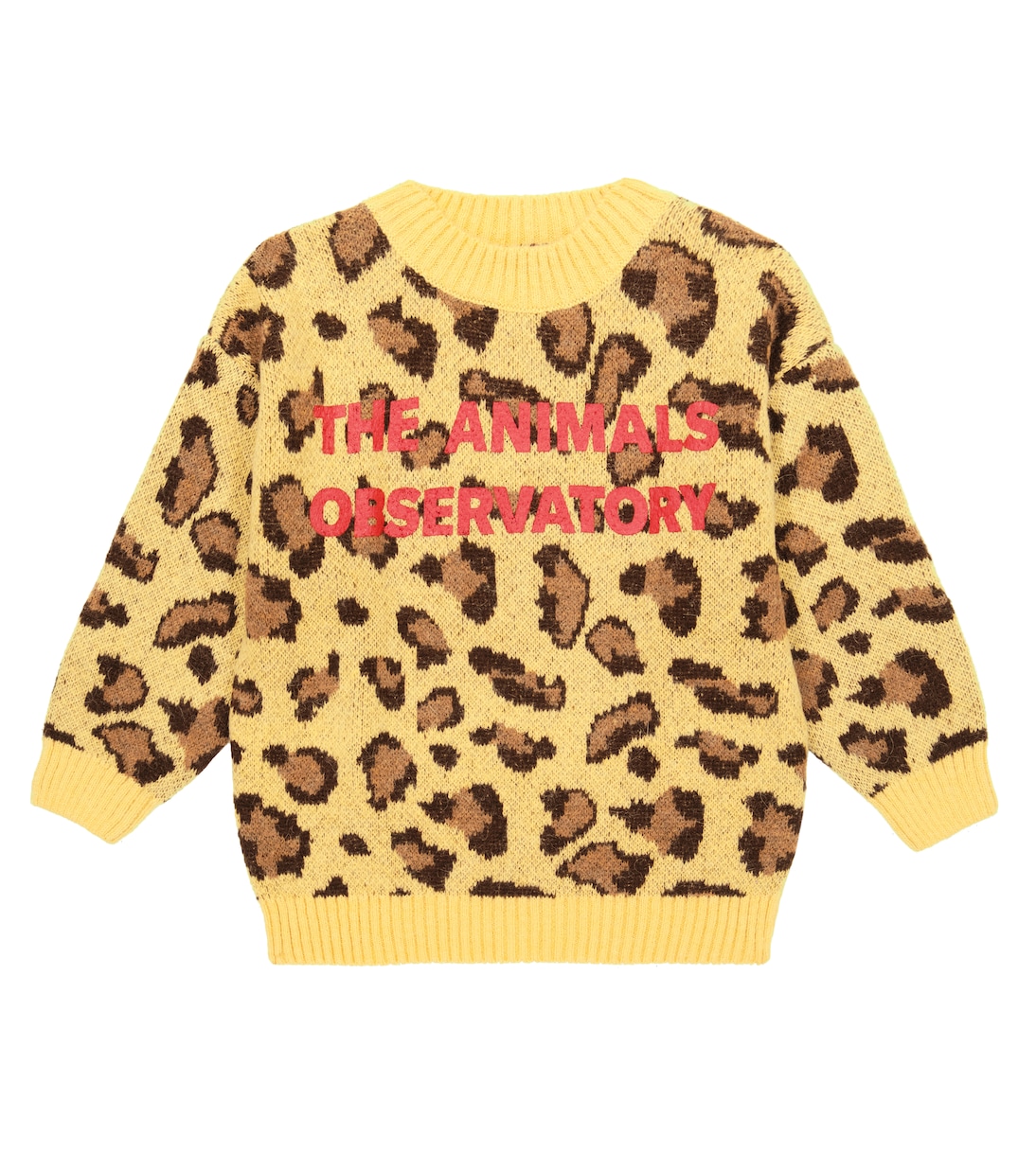 Pullover Arty Bull con intarsi | The Animals Observatory