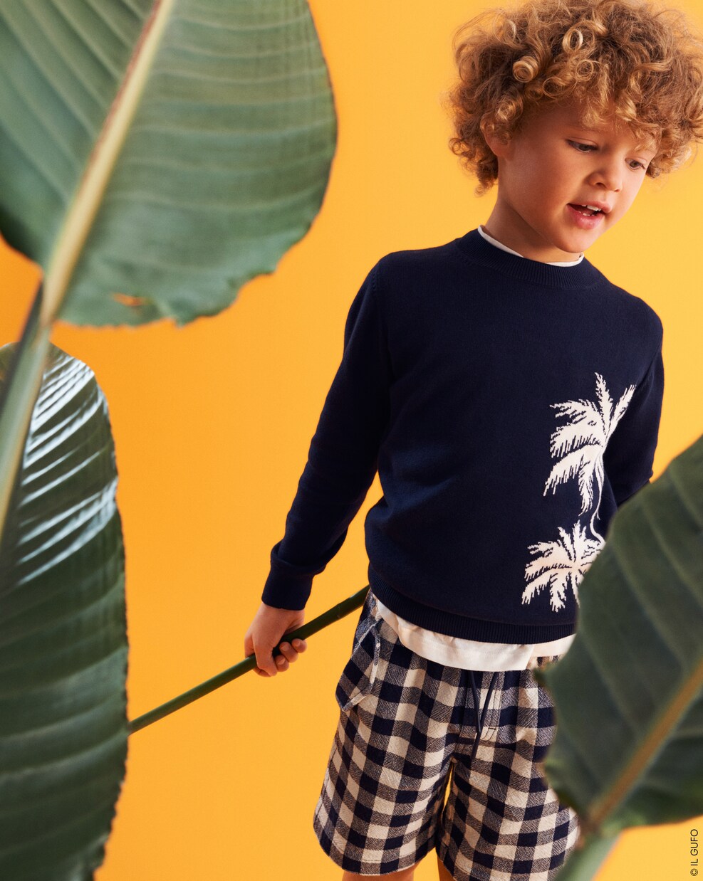 Intarsia cotton sweatshirt | Il Gufo