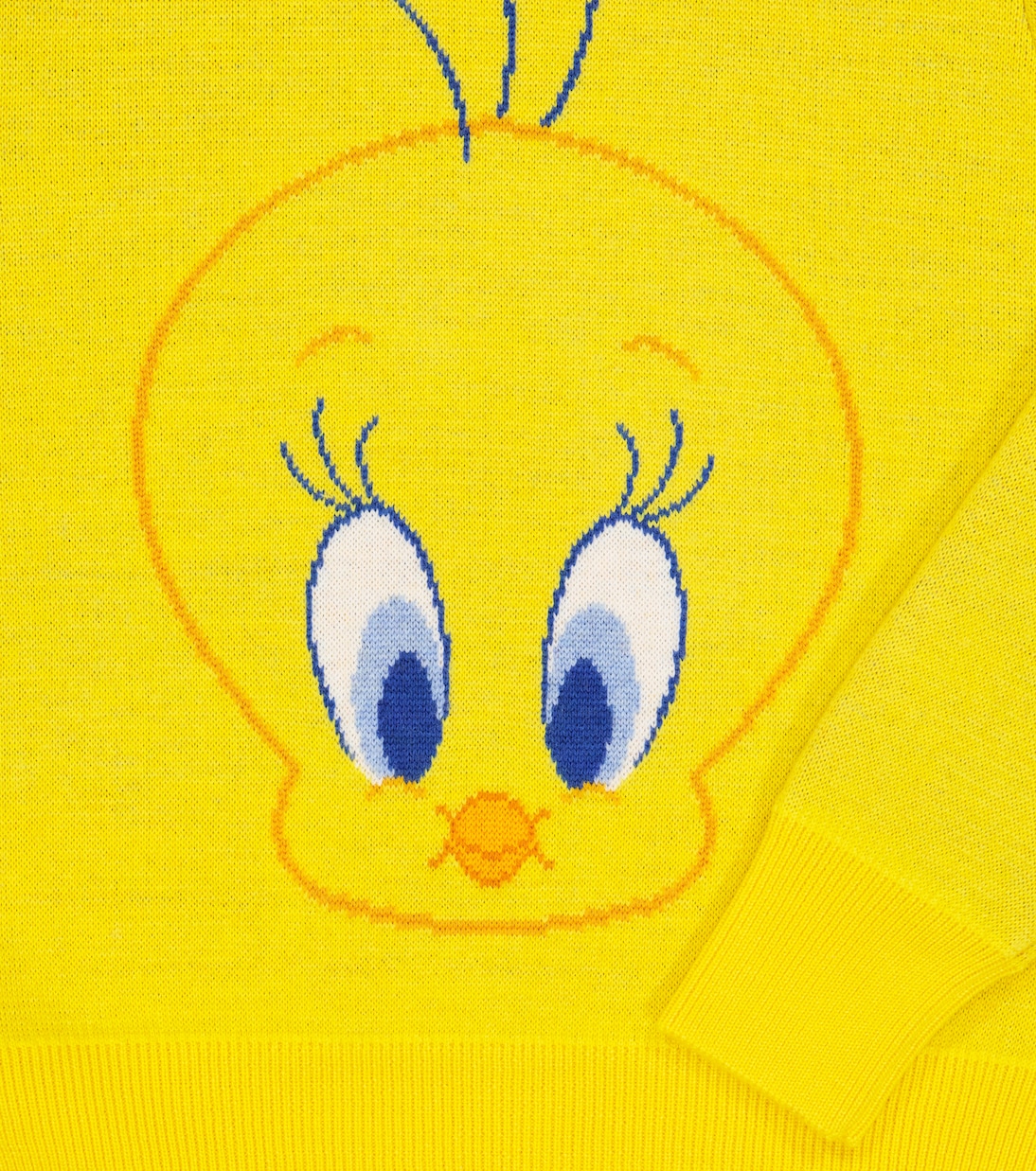 x Looney Tunes Tweenty virgin wool sweater | Alanui Kids