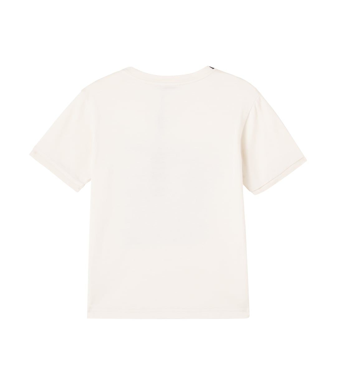 Printed cotton jersey T-shirt | Dolce&Gabbana Kids