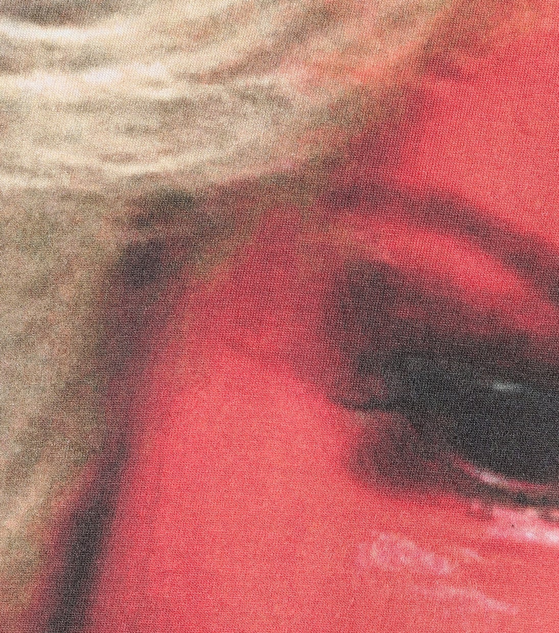 T-shirt in cotone con stampa | Raf Simons