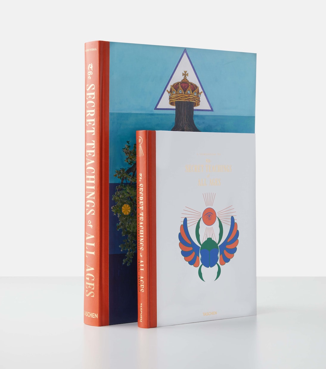 Secret Teachings of All Ages book | Taschen