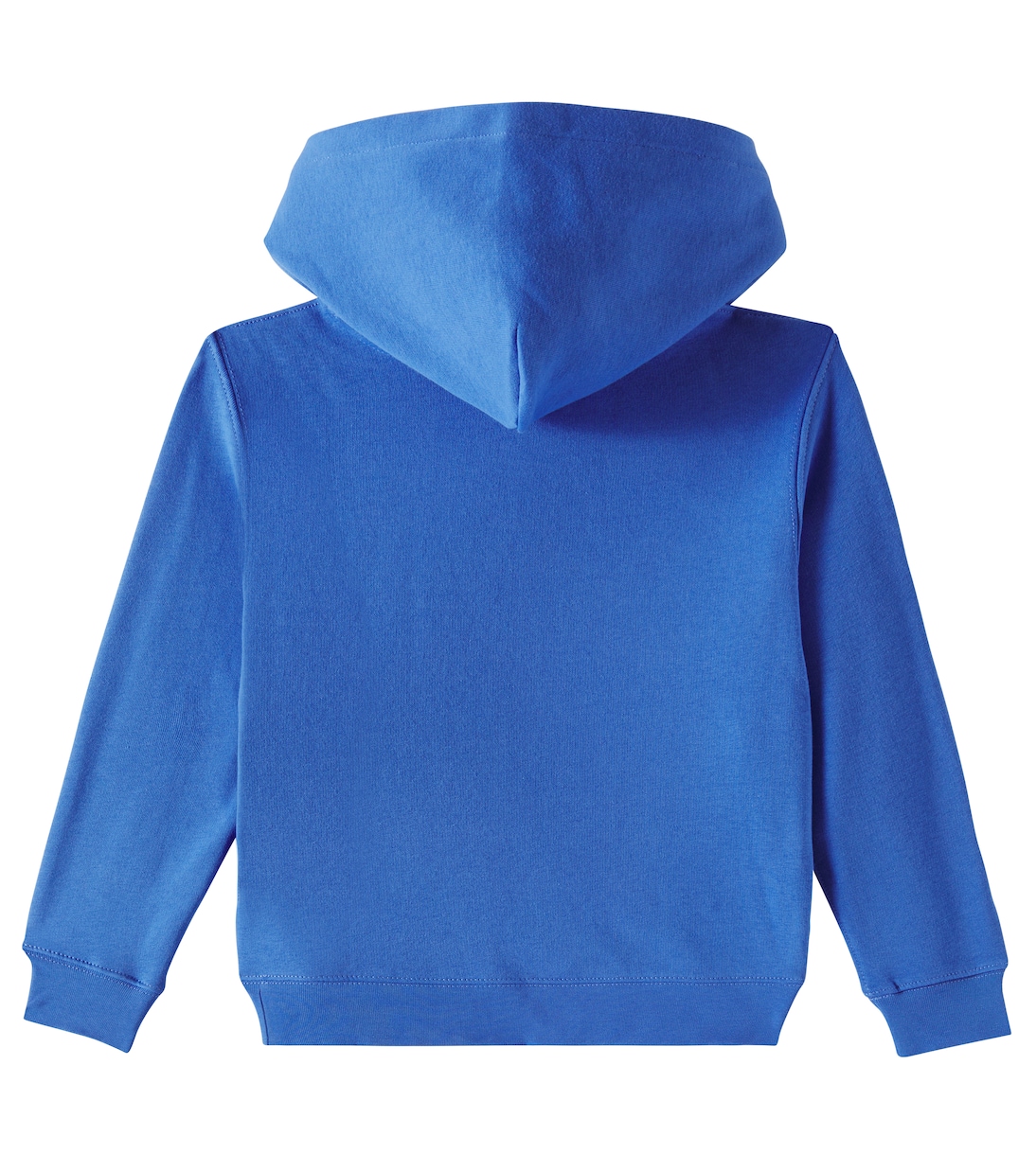 Sweat-shirt à capuche Polo Bear | Polo Ralph Lauren Kids