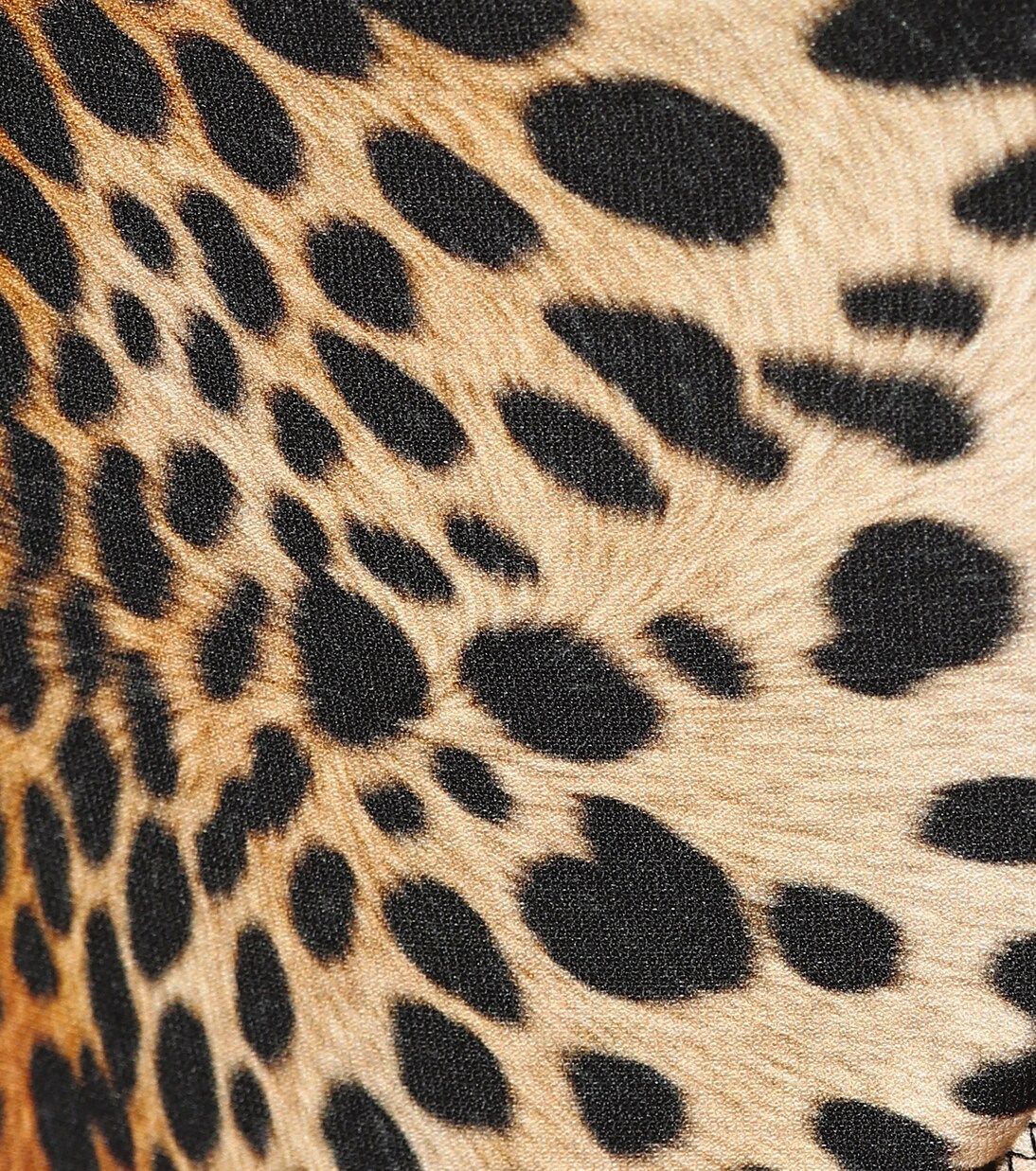 Slip bikini Cancun leopardato | Melissa Odabash