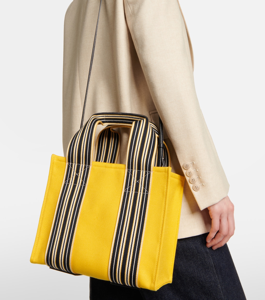 Borsa The Suitcase StripeMini in canvas | Loro Piana