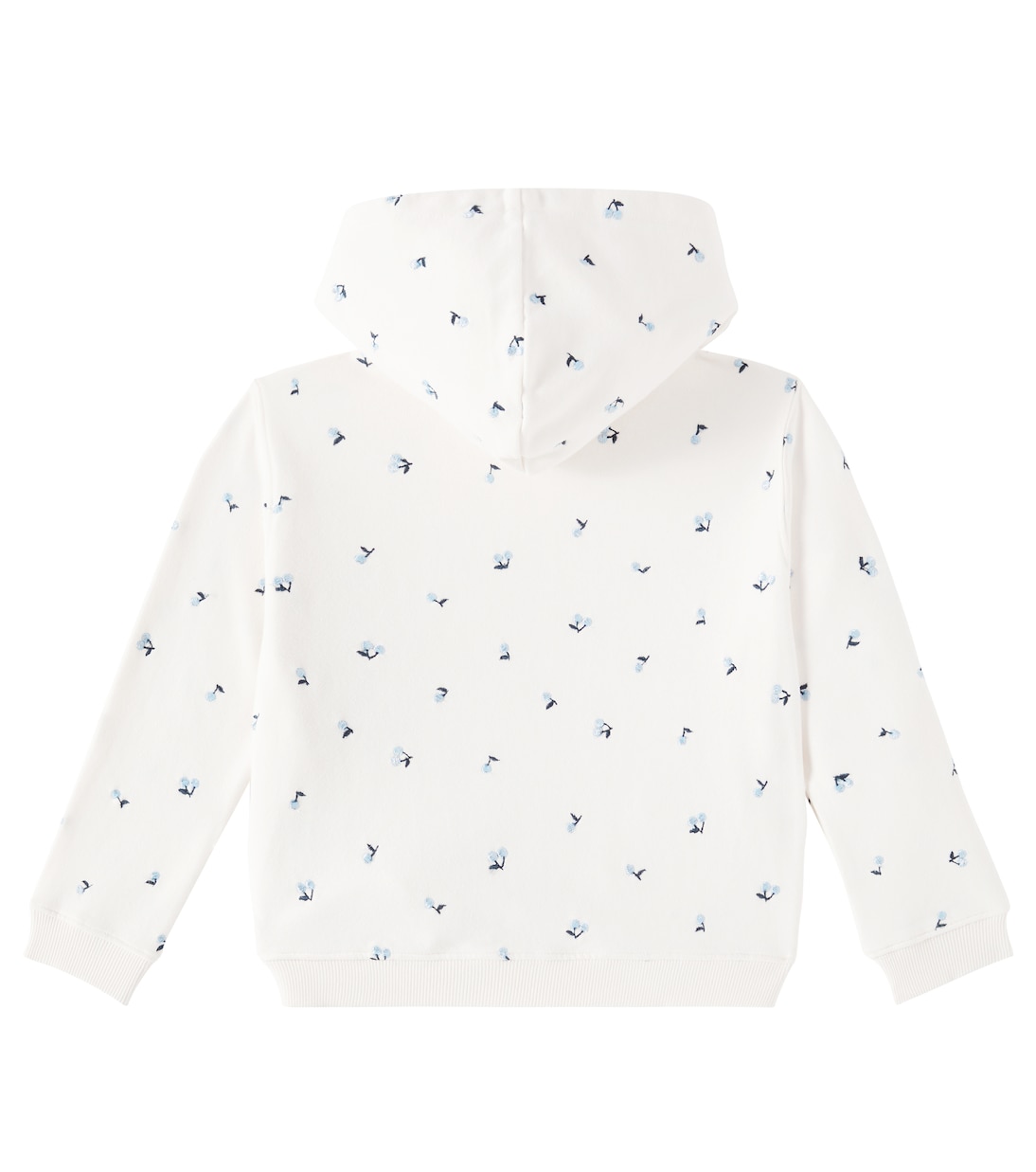 Felpa Talent in jersey di cotone | Bonpoint