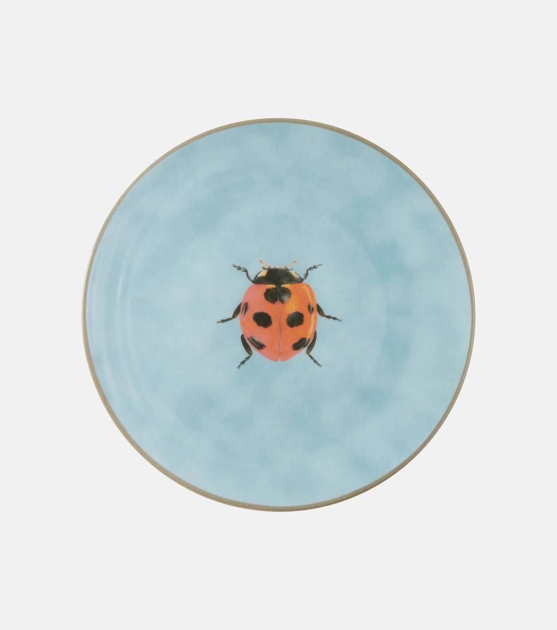 Piatto Insetti con coccinella | Les-Ottomans