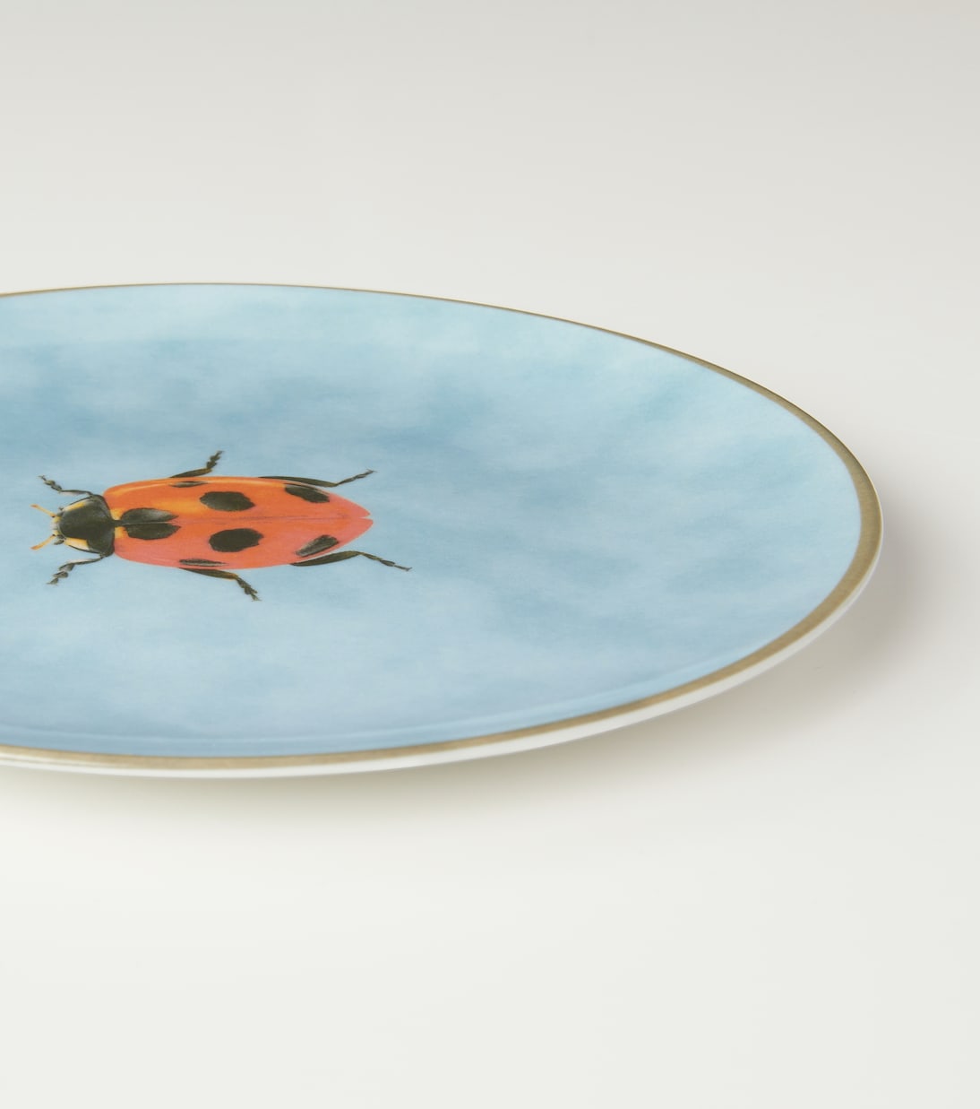 Piatto Insetti con coccinella | Les-Ottomans