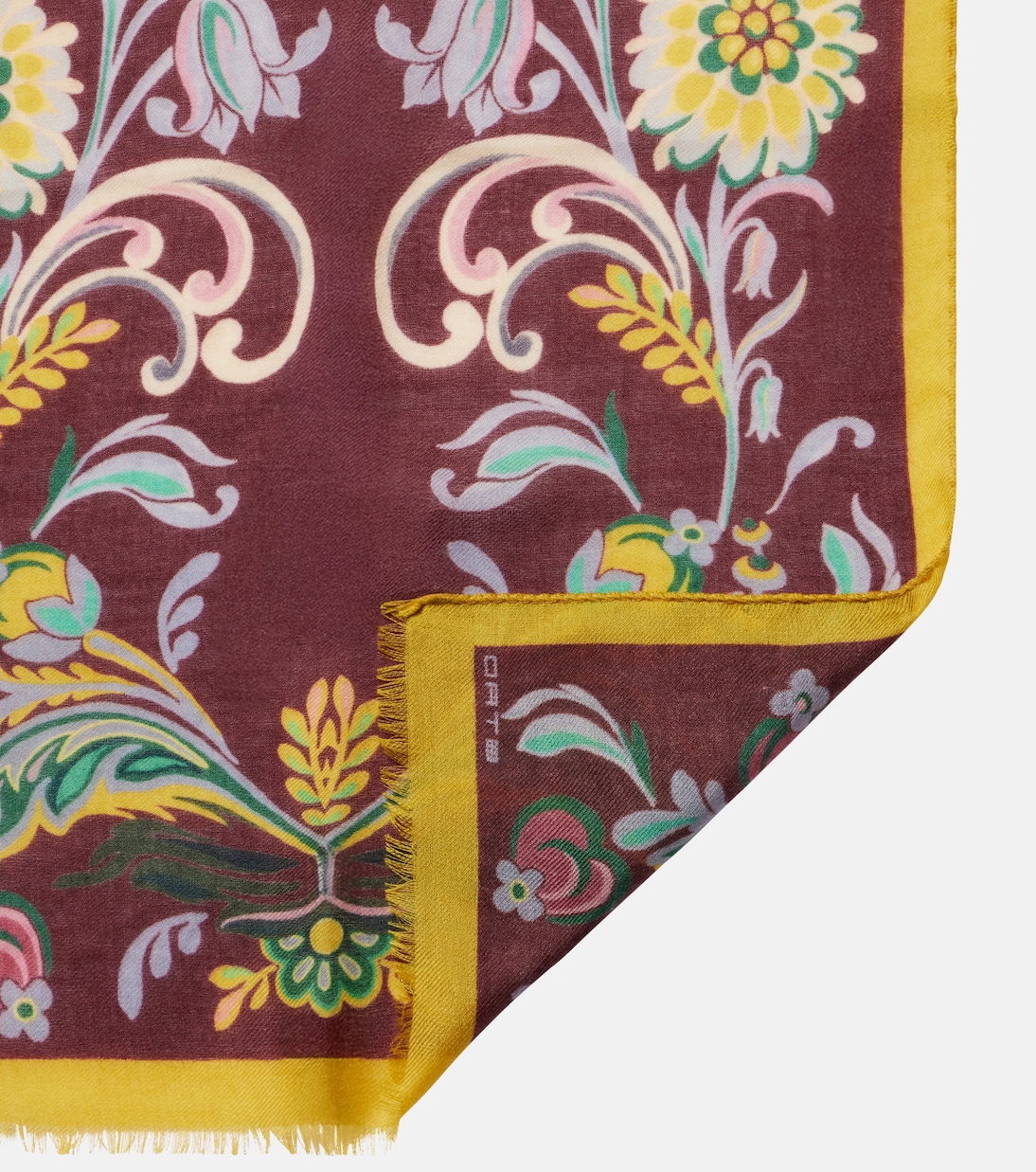 Écharpe imprimée en laine, cachemire et soie | Etro