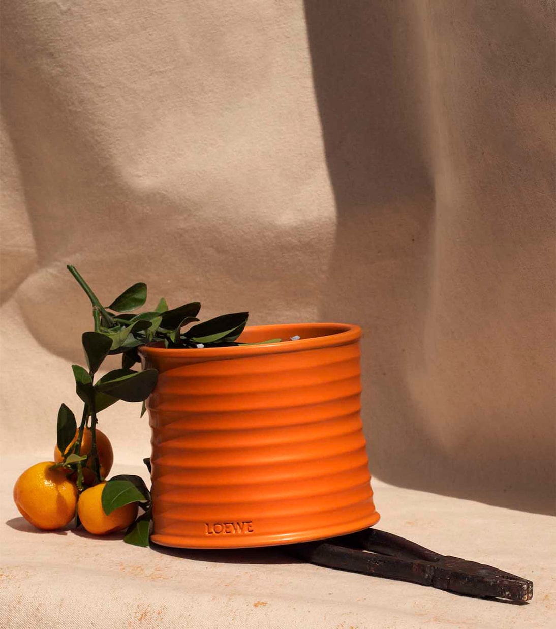 Duftkerze Orange Blossom Medium | Loewe Home Scents