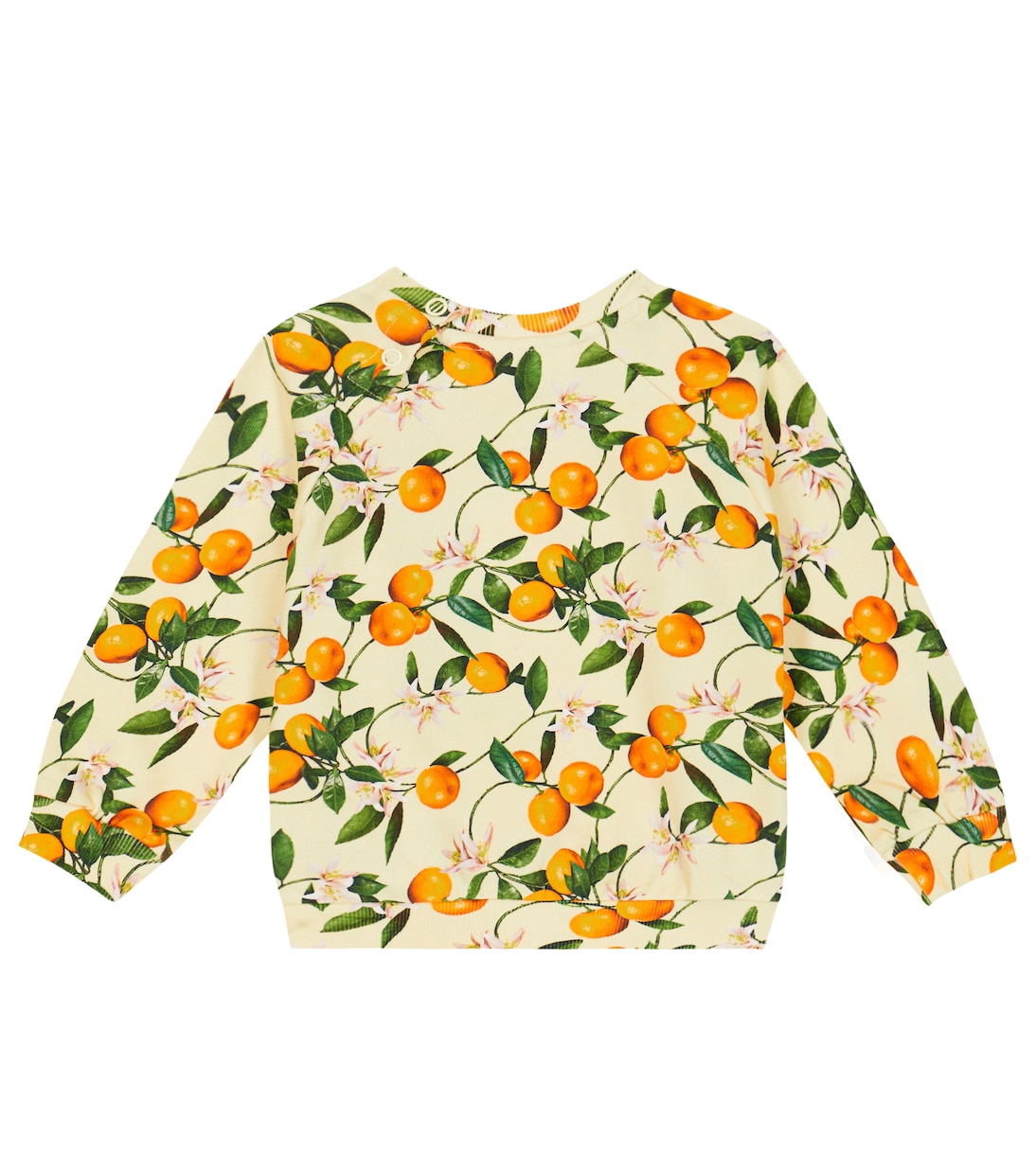 Bebé - sudadera Disc de algodón estampada | Molo