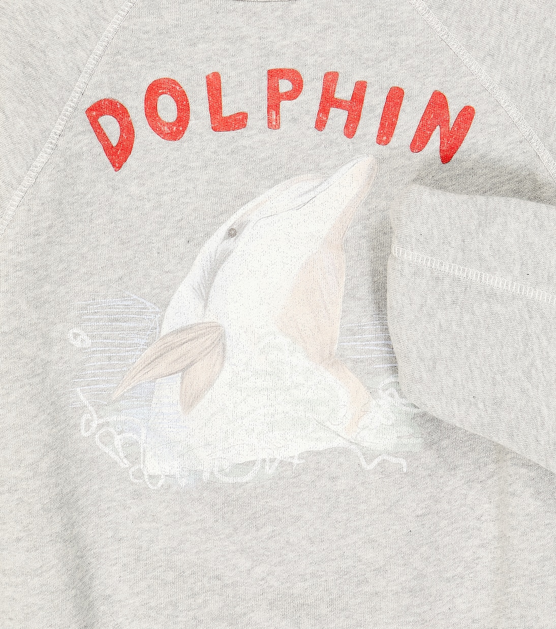 Sudadera Shark en jersey de algodón | The Animals Observatory