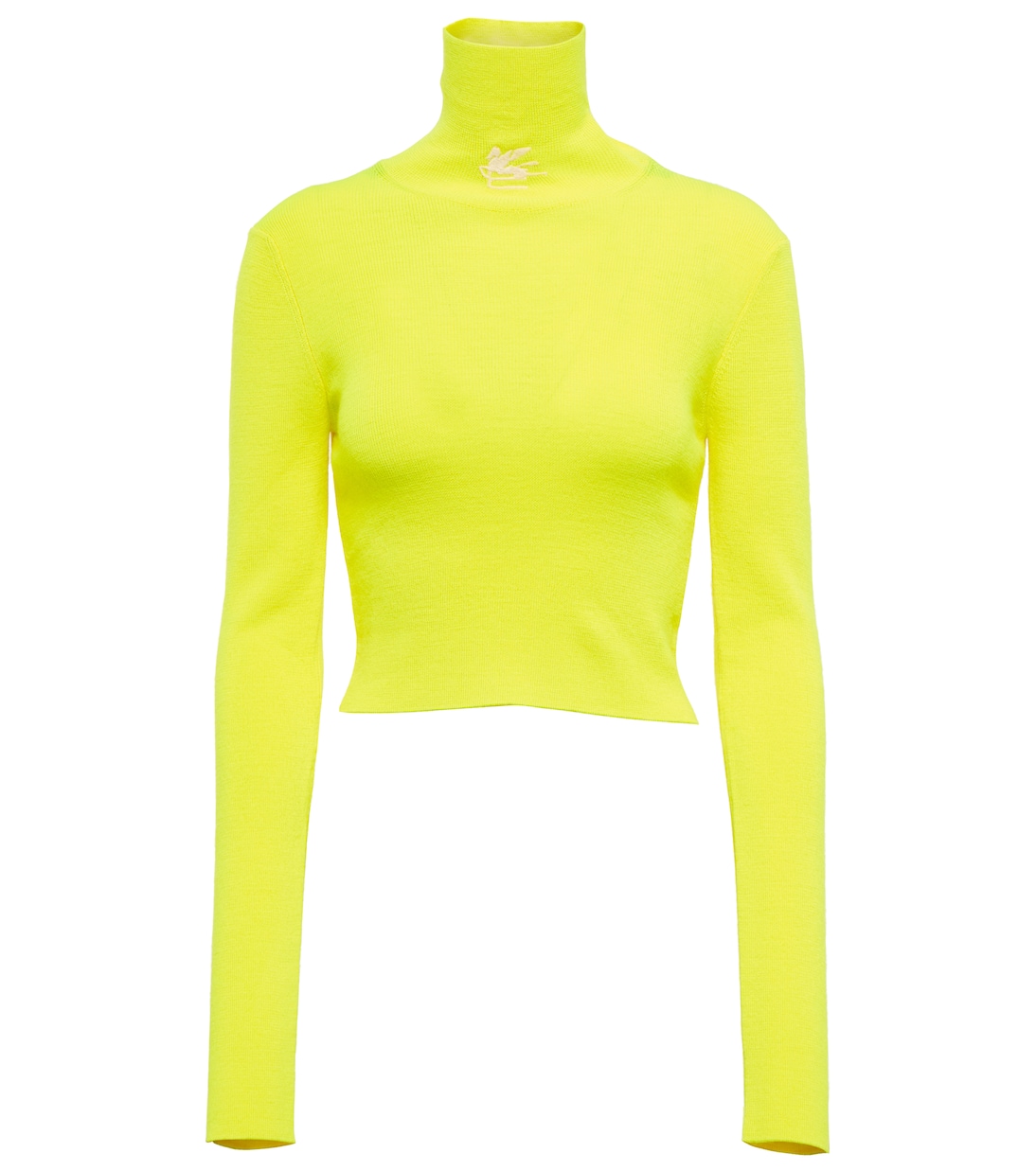 Turtleneck sweater | Etro