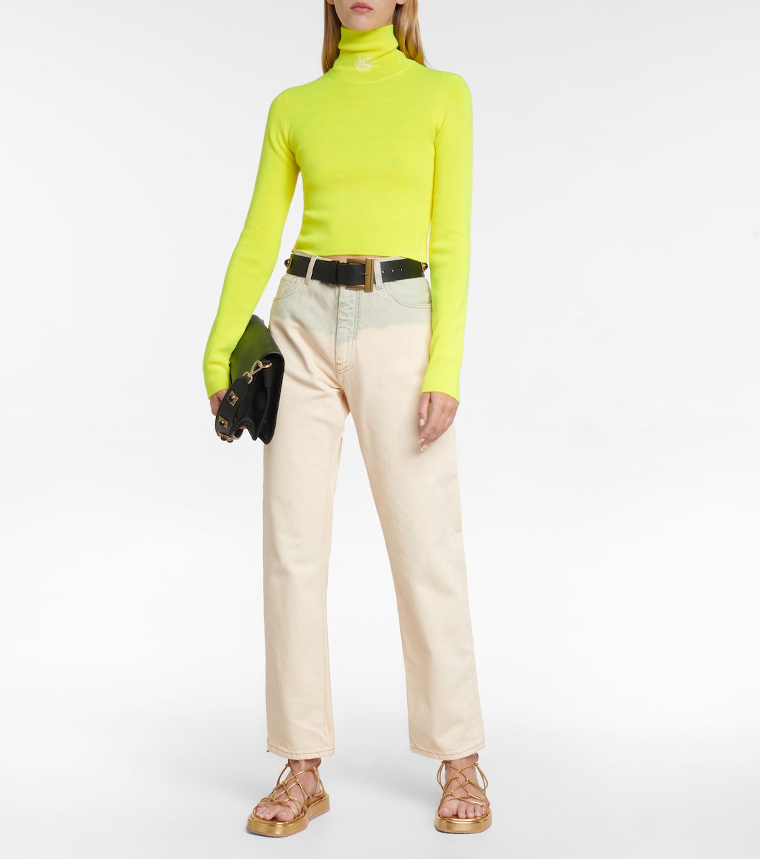 Turtleneck sweater | Etro