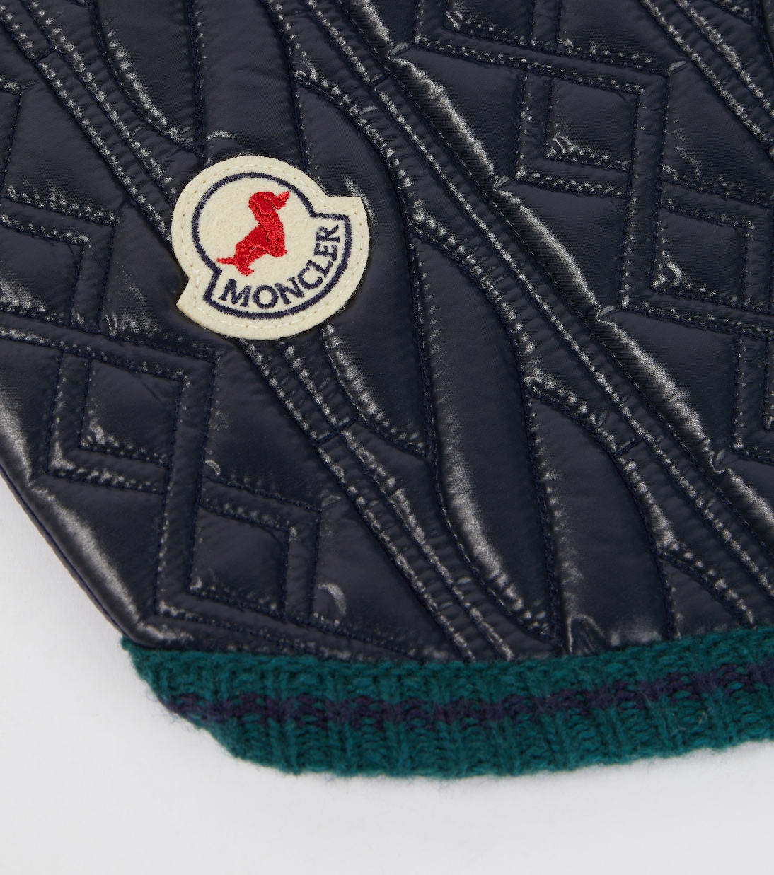 Manteau pour chien Moncler Poldo Dog Couture | Moncler