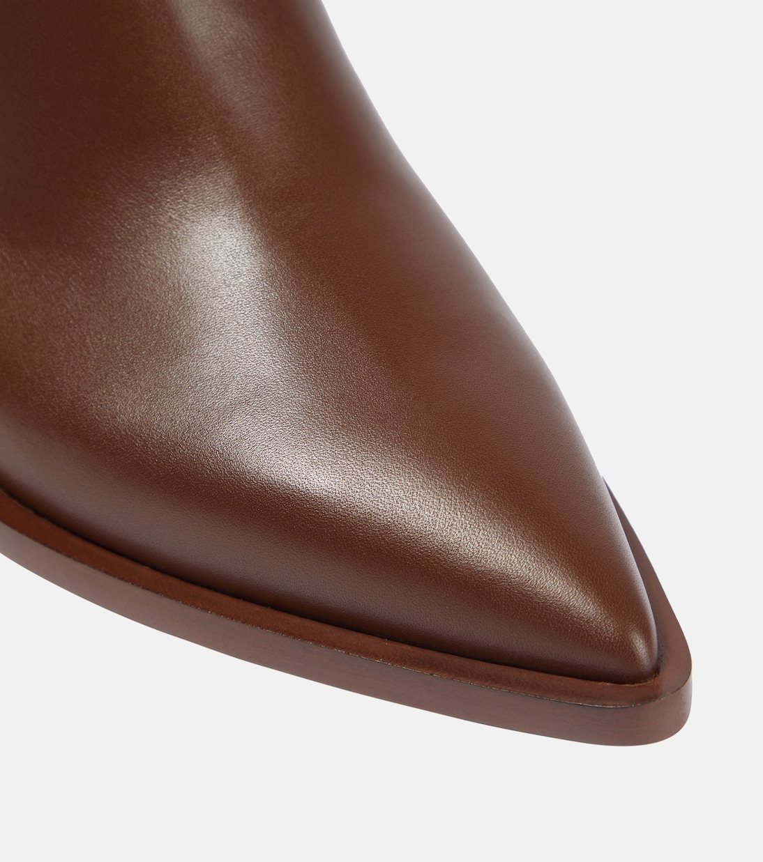 Botines Frankie de piel | Gianvito Rossi