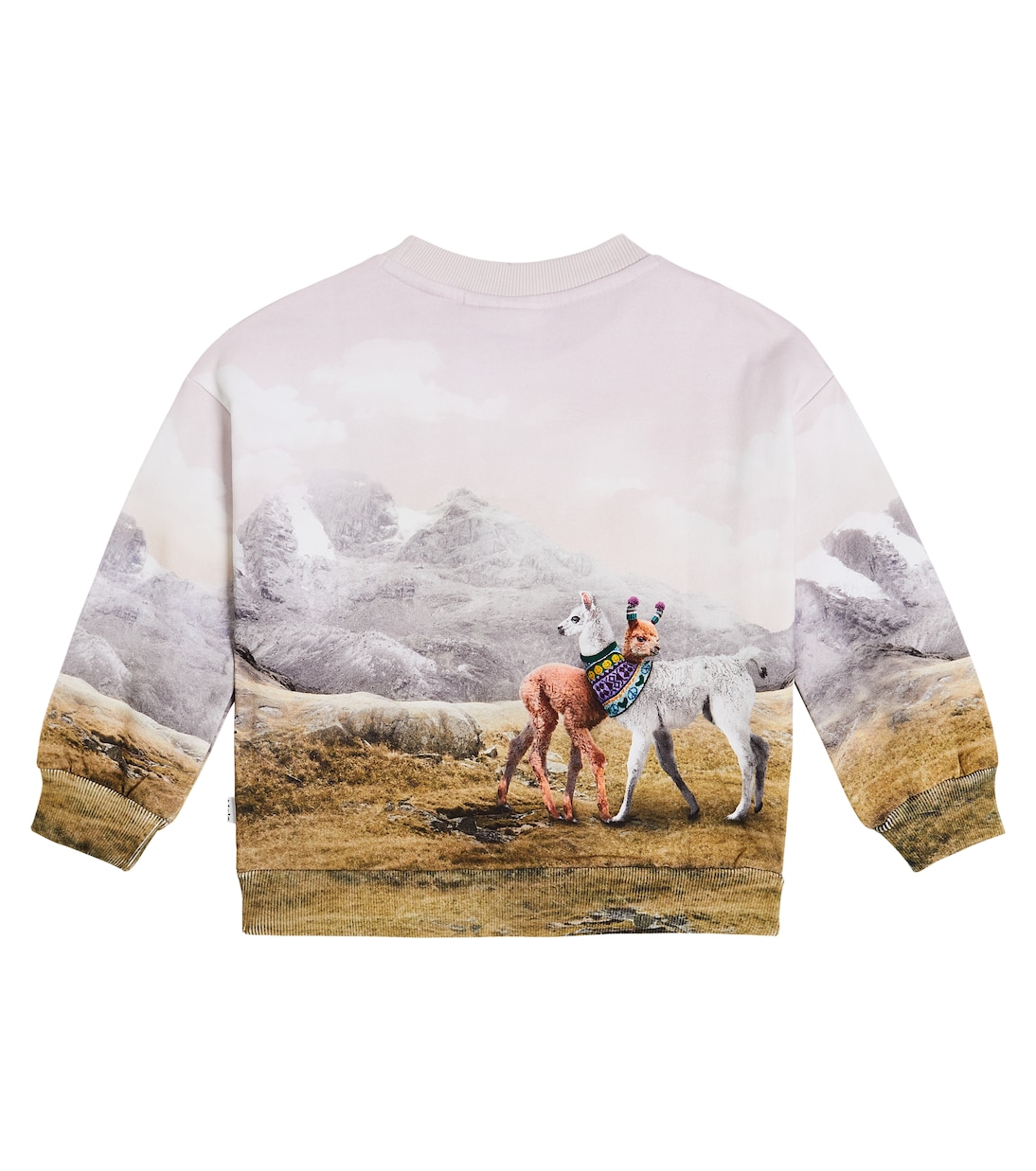 Maxi printed cotton sweatshirt | Molo