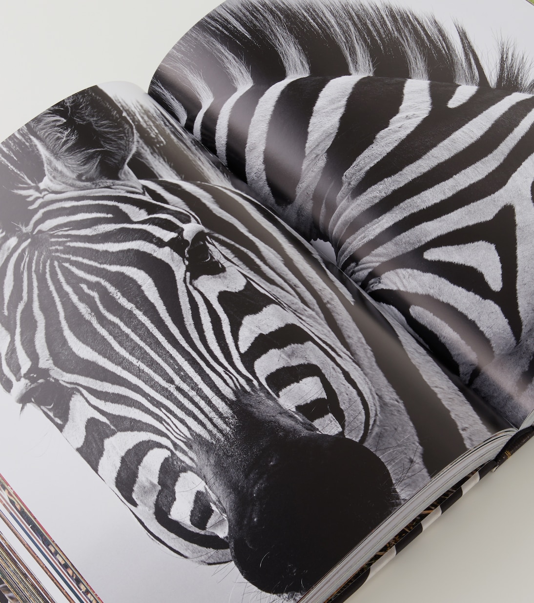 African Adventures book | Assouline