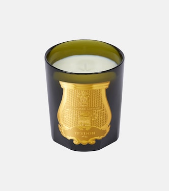 Solis Rex Classic candle | Trudon