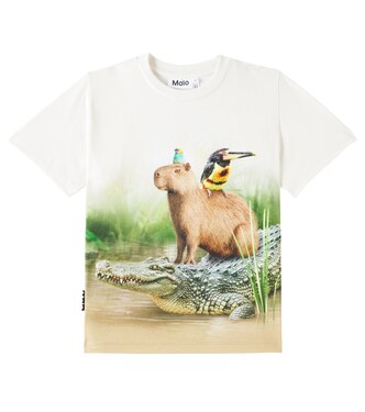 T-shirt Rubin in jersey di cotone | Molo