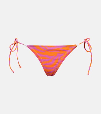 Slip bikini Miami con stampa zebrata | Reina Olga