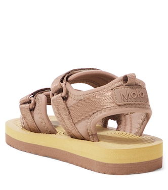 Sandales Zola | Molo