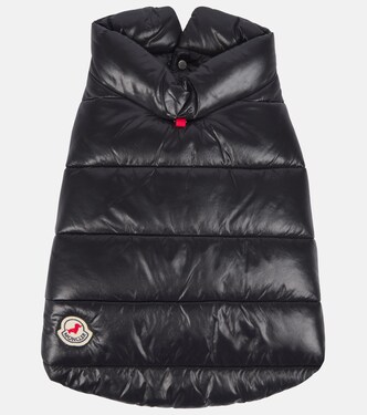 Moncler Poldo Dog Couture dog coat | Moncler