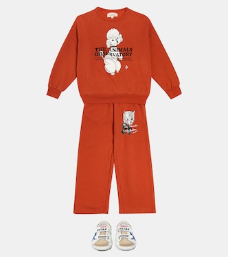 Big Bear printed cotton sweatshirt  | The Animals Observatory