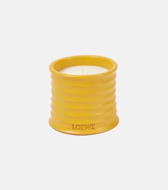 Wasabi Small scented candle | Loewe Home Scents