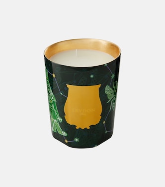 Fir Intermediate scented candle | Trudon