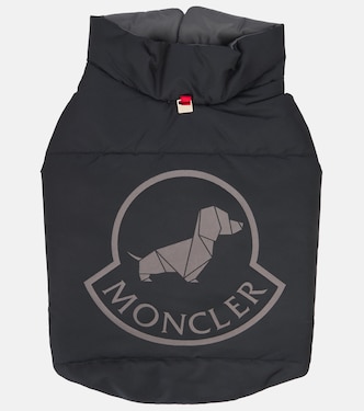 Moncler Poldo Dog Couture dog coat | Moncler