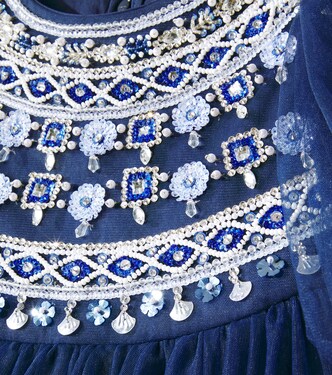 Starlight Serenade embellished tulle dress | Tutu Du Monde