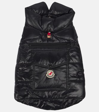 Moncler Poldo Dog Couture dog coat | Moncler