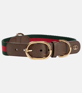 Web Stripe L/XL faux leather dog collar | Gucci