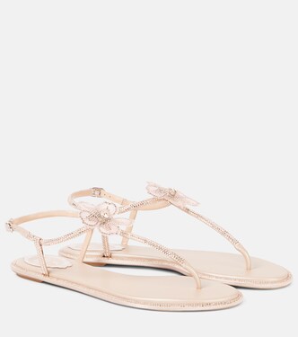 Embellished satin thong sandals | Rene Caovilla