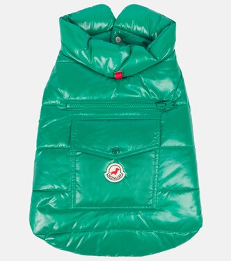 Moncler Poldo Dog Couture dog coat | Moncler
