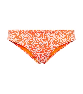 Slip bikini Fiji con stampa | Heidi Klein