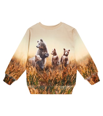 Sudadera Mattis de algodón estampado | Molo