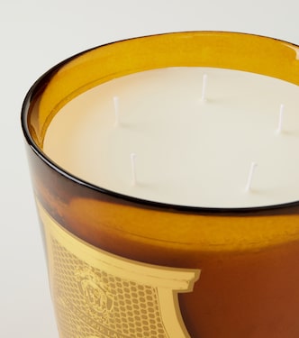 Altaïr Grande scented candle  | Trudon