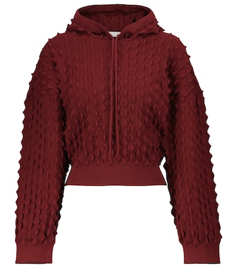 Sudadera con capucha bordada | Stella McCartney