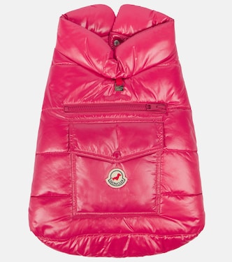Moncler Poldo Dog Couture dog coat | Moncler