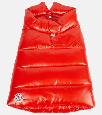Moncler Poldo Dog Couture dog coat | Moncler