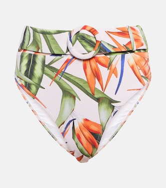Ursula bikini bottoms | Alexandra Miro