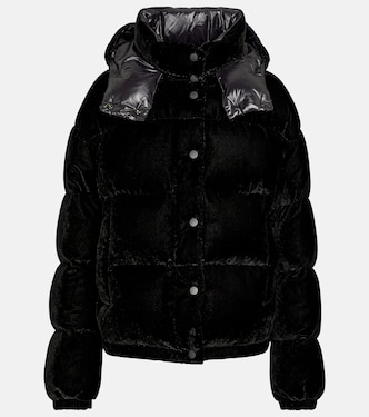 Daos velvet down jacket | Moncler