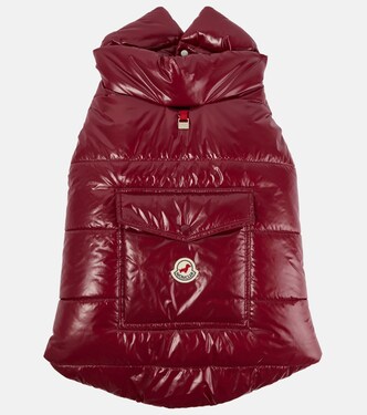 Manteau pour chien Moncler Poldo Dog Couture | Moncler