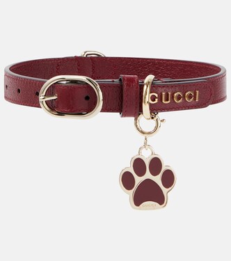 S/M leather dog collar | Gucci