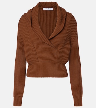Wool and cashmere sweater | Max Mara