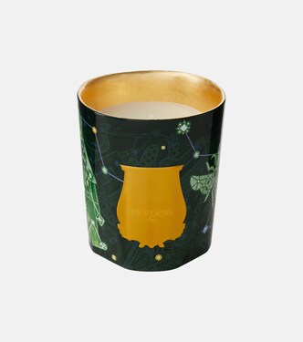 Fir Classic scented candle  | Trudon