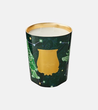 Fir Grande scented candle | Trudon