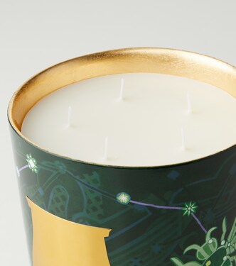 Fir Grande scented candle | Trudon